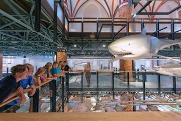 Several people stand on a parapet and look at a hanging shark model