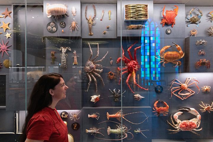 Person standing in front of display case with crabs