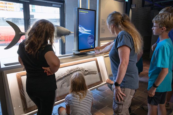 Personen nutzen eine interaktive Station in der Ausstellung im MEERESMUSEUM. Ein Bildschirm läuft auf Führungsschienen und wird per Hand vor dem Modell eines Fischsauriers horizontal entlanggeschoben.