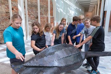 Children and young people feel a bronze model of a turtle