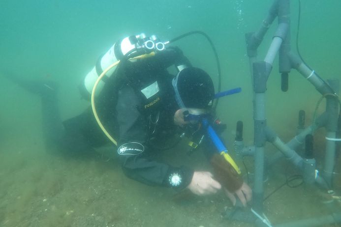 Foto: Daniel Stepputtis, Thünen Institut für Ostseefischerei